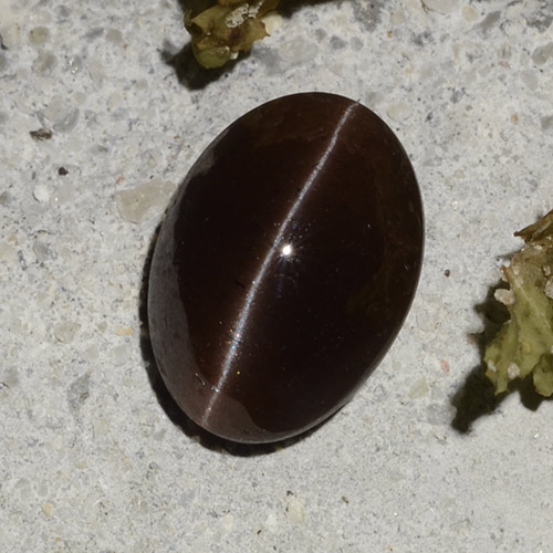Cat's Eye Scapolite طبيعي بلون بني داكن، وزن ‎2.16‎ قيراط، شكل بيضاوى، مقاس ‎9.2x6.7‎ مم