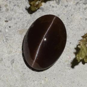 Cat's Eye Scapolite طبيعي بلون بني داكن، وزن ‎2.16‎ قيراط، شكل بيضاوى، مقاس ‎9.2x6.7‎ مم