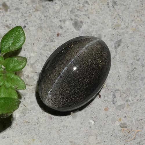 1.48ct طبيعي رمادي غامق سكاتوليت عين القط, بيضوي, نصف شفاف