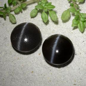 Cat's Eye Scapolite طبيعي بلون أسود، وزن ‎3.46‎ قيراط، شكل دائري، مقاس ‎8.31‎ مم