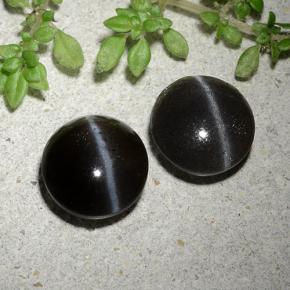 Cat's Eye Scapolite طبيعي بلون أسود، وزن ‎3.46‎ قيراط، شكل دائري، مقاس ‎8.31‎ مم