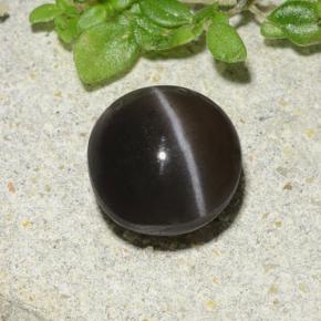 سكاتوليت عين القط بنى طبيعي، قصة دائرى، 1.96 قيراط، نصف شفاف