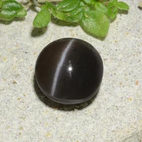 سكاتوليت عين القط بنى طبيعي، قصة دائرى، 1.96 قيراط، نصف شفاف