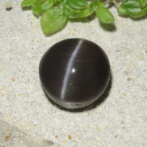 Cat's Eye Scapolite طبيعي بلون أسود، وزن ‎2.49‎ قيراط، شكل دائري، مقاس ‎8.07‎ مم