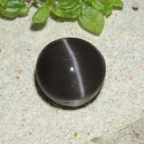 Cat's Eye Scapolite طبيعي بلون أسود، وزن ‎2.49‎ قيراط، شكل دائري، مقاس ‎8.07‎ مم
