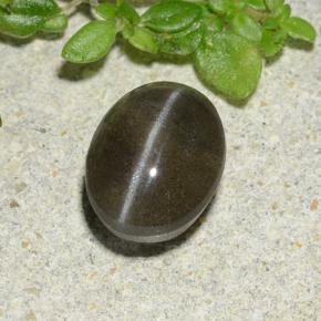 Cat's Eye Scapolite طبيعي بلون أسود، وزن ‎1.46‎ قيراط، شكل بيضاوى، مقاس ‎7.3x5.7‎ مم