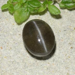 Cat's Eye Scapolite طبيعي بلون أسود، وزن ‎1.46‎ قيراط، شكل بيضاوى، مقاس ‎7.3x5.7‎ مم