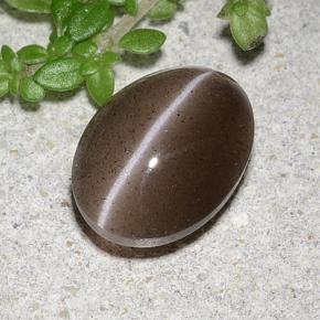 Cat's Eye Scapolite طبيعي بلون بني، وزن ‎2.20‎ قيراط، شكل بيضاوى، مقاس ‎9.4x7.1‎ مم