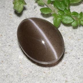 Cat's Eye Scapolite طبيعي بلون بني، وزن ‎2.20‎ قيراط، شكل بيضاوى، مقاس ‎9.4x7.1‎ مم
