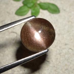 Cat's Eye Scapolite طبيعي بلون بني محمر، وزن ‎1.76‎ قيراط، شكل دائري، مقاس ‎8.36‎ مم