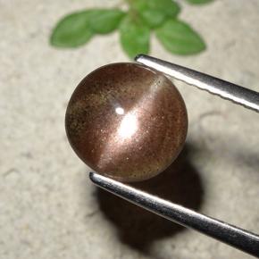 Cat's Eye Scapolite طبيعي بلون بني محمر، وزن ‎1.76‎ قيراط، شكل دائري، مقاس ‎8.36‎ مم