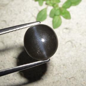 Cat's Eye Scapolite طبيعي بلون أسود، وزن ‎3.23‎ قيراط، شكل دائري، مقاس ‎8.93‎ مم