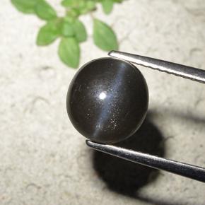 Cat's Eye Scapolite طبيعي بلون أسود، وزن ‎3.23‎ قيراط، شكل دائري، مقاس ‎8.93‎ مم