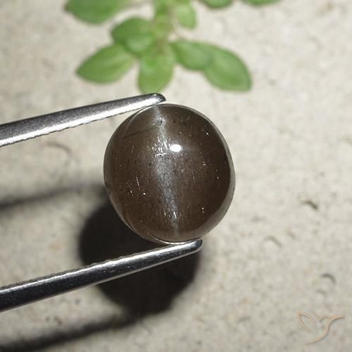 2.56ct طبيعي بنى متوسط سكاتوليت عين القط, دائري, نصف شفاف