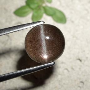 Cat's Eye Scapolite طبيعي بلون بني، وزن ‎1.80‎ قيراط، شكل دائري، مقاس ‎7.84‎ مم
