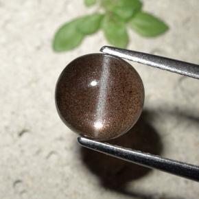 Cat's Eye Scapolite طبيعي بلون بني، وزن ‎1.80‎ قيراط، شكل دائري، مقاس ‎7.84‎ مم