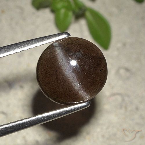 سكاتوليت عين القط بنى شيكولاتى طبيعي، قصة دائرى، 2.01 قيراط، نصف شفاف