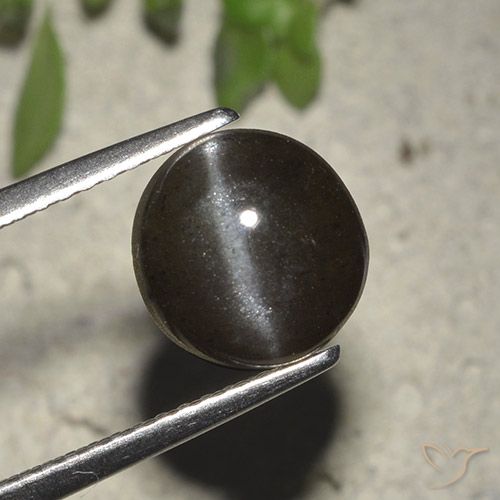 Cat's Eye Scapolite طبيعي بلون أسود، وزن ‎2.72‎ قيراط، شكل دائري، مقاس ‎8.23‎ مم