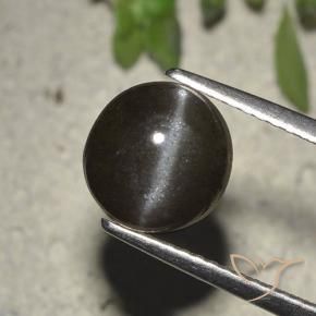 Cat's Eye Scapolite طبيعي بلون أسود، وزن ‎2.72‎ قيراط، شكل دائري، مقاس ‎8.23‎ مم