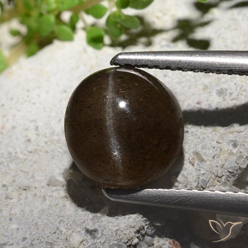 3.08ct طبيعي بنى متوسط سكاتوليت عين القط, دائري, نصف شفاف