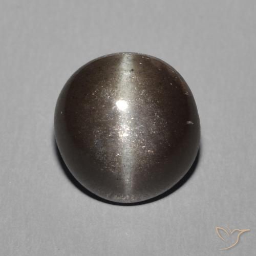 2.28ct طبيعي أسود دافئ سكاتوليت عين القط, دائري, نصف شفاف