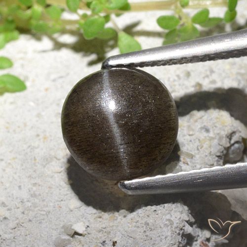 2.16ct طبيعي بنى فاتح-متوسط سكاتوليت عين القط, دائري, نصف شفاف