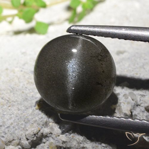 2.71ct طبيعي أسود سكاتوليت عين القط, دائري, نصف شفاف