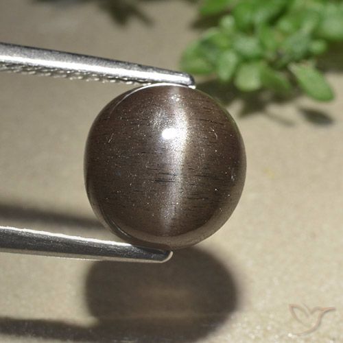 3.07ct طبيعي بنى العنبر سكاتوليت عين القط, دائري, نصف شفاف