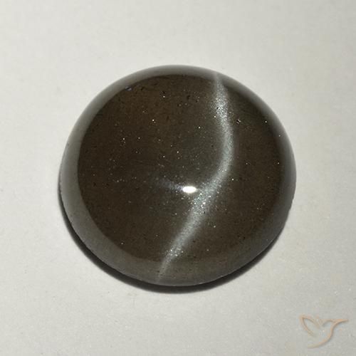 2.34ct طبيعي أسود سكاتوليت عين القط, دائري, نصف شفاف