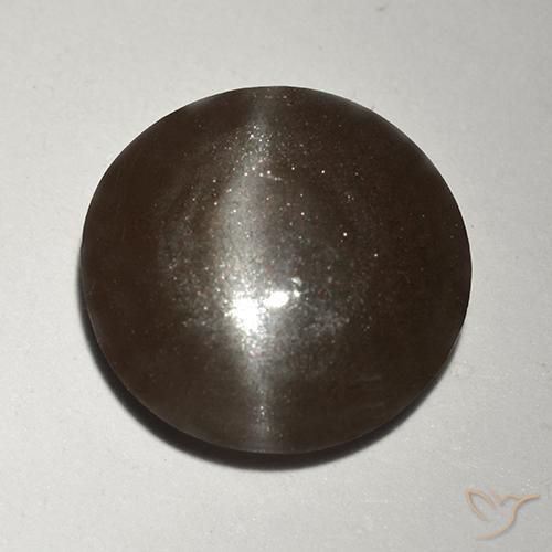 2.99ct طبيعي بنى العنبر سكاتوليت عين القط, دائري, نصف شفاف