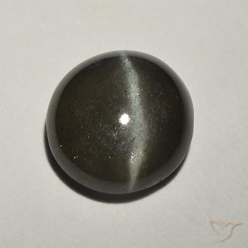 2.18ct طبيعي أسود سكاتوليت عين القط, دائري, نصف شفاف