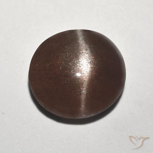 2.92ct طبيعي بنى القرفة سكاتوليت عين القط, دائري, نصف شفاف