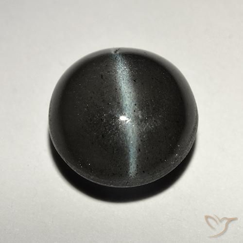 2.82ct طبيعي أسود سكاتوليت عين القط, دائري, نصف شفاف