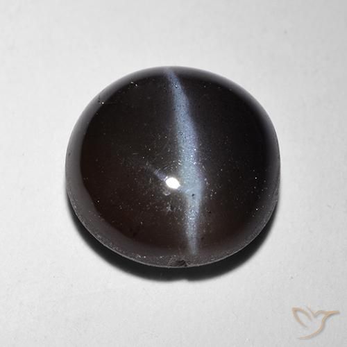 2.29ct طبيعي أسود سكاتوليت عين القط, دائري, نصف شفاف