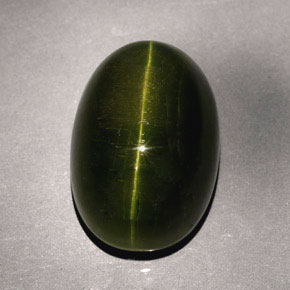 Cat's Eye Tourmaline طبيعي بلون أخضر عميق، وزن ‎23.57‎ قيراط، شكل بيضاوى، مقاس ‎19.7x13.5‎ مم