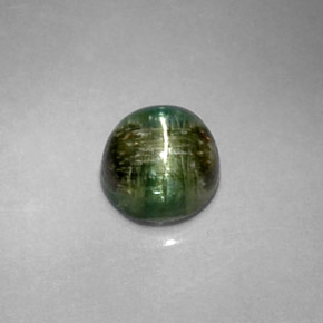 Cat's Eye Tourmaline طبيعي بلون أخضر عميق، وزن ‎1.20‎ قيراط، شكل دائري، مقاس ‎5.97‎ مم