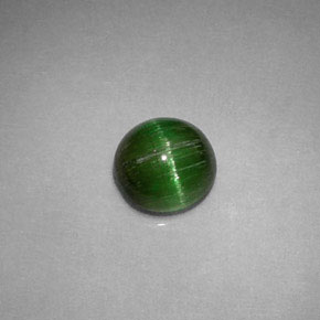 Cat's Eye Tourmaline طبيعي بلون أخضر عميق، وزن ‎0.85‎ قيراط، شكل دائري، مقاس ‎5.74‎ مم