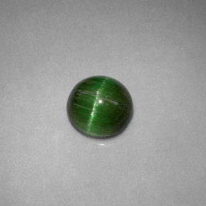 Cat's Eye Tourmaline طبيعي بلون أخضر عميق، وزن ‎0.85‎ قيراط، شكل دائري، مقاس ‎5.74‎ مم