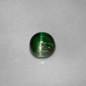 Cat's Eye Tourmaline طبيعي بلون أخضر عميق، وزن ‎0.67‎ قيراط، شكل دائري، مقاس ‎4.96‎ مم
