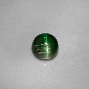 Cat's Eye Tourmaline طبيعي بلون أخضر عميق، وزن ‎0.67‎ قيراط، شكل دائري، مقاس ‎4.96‎ مم