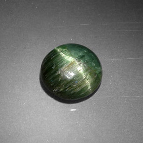 Cat's Eye Tourmaline طبيعي بلون أخضر عميق، وزن ‎0.87‎ قيراط، شكل دائري، مقاس ‎6.24‎ مم