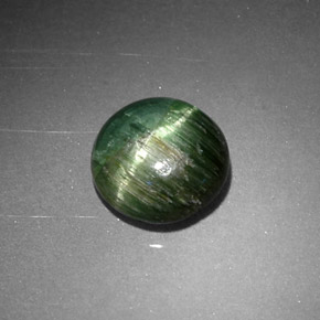 Cat's Eye Tourmaline طبيعي بلون أخضر عميق، وزن ‎0.87‎ قيراط، شكل دائري، مقاس ‎6.24‎ مم