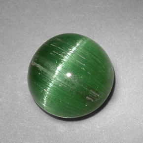Cat's Eye Tourmaline طبيعي بلون أخضر، وزن ‎2.47‎ قيراط، شكل دائري، مقاس ‎8.06‎ مم