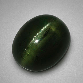 Cat's Eye Tourmaline طبيعي بلون أخضر عميق، وزن ‎5.99‎ قيراط، شكل بيضاوى، مقاس ‎12.2x10.1‎ مم