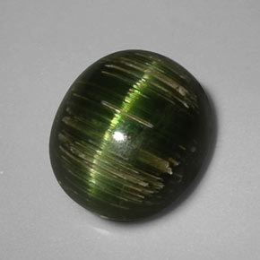 Cat's Eye Tourmaline طبيعي بلون أخضر عميق، وزن ‎3.24‎ قيراط، شكل بيضاوى، مقاس ‎9.2x8.2‎ مم