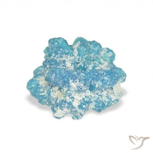 1.53ct طبيعي أصفر ييل كافانسيت, فانسى, غير شفاف