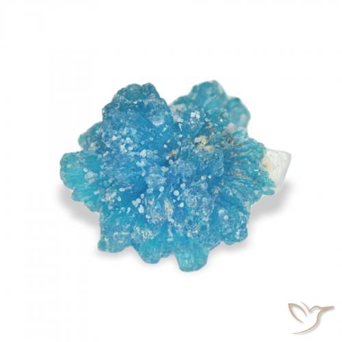 1.39ct طبيعي أزرق كافانسيت, فانسى, غير شفاف
