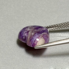 شارويت البنفسجي طبيعي، شكل القلب، 4.46 قيراط، غير شفاف