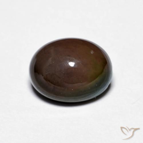 1.28ct طبيعي بنى شيكولاتى شوكولاتة أوبال, بيضوي, غير شفاف