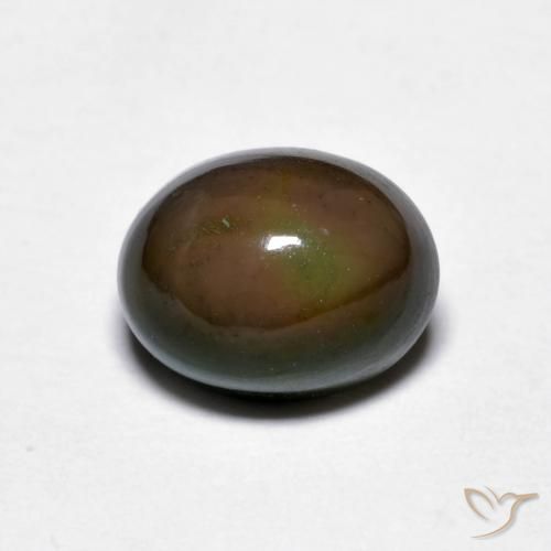 1.56ct طبيعي بني غامق شوكولاتة أوبال, بيضوي, غير شفاف